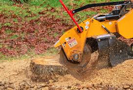 Best Soil Testing and Treatment  in Hartland, WI